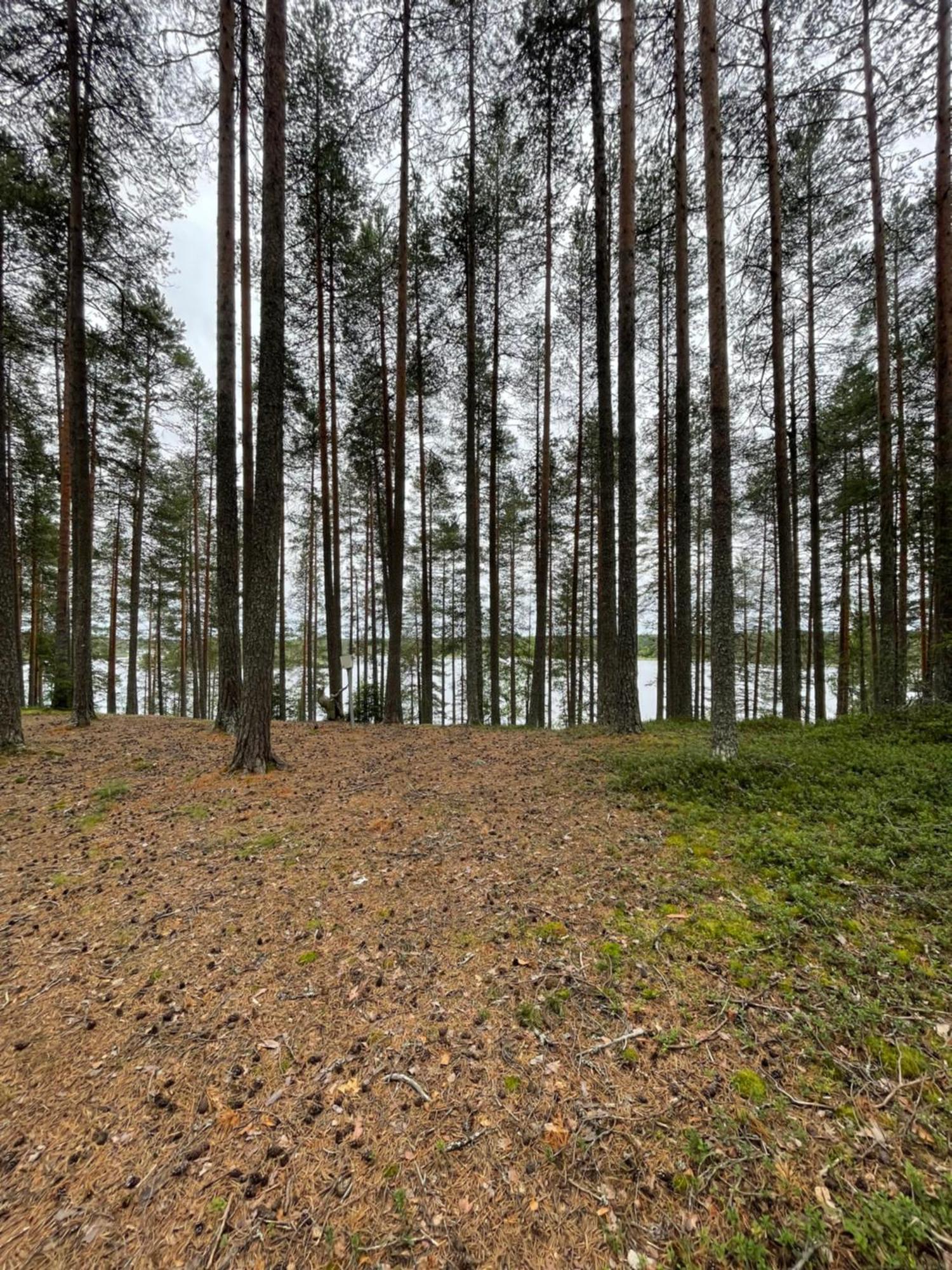 Laahtanen Camping Ristijärvi المظهر الخارجي الصورة