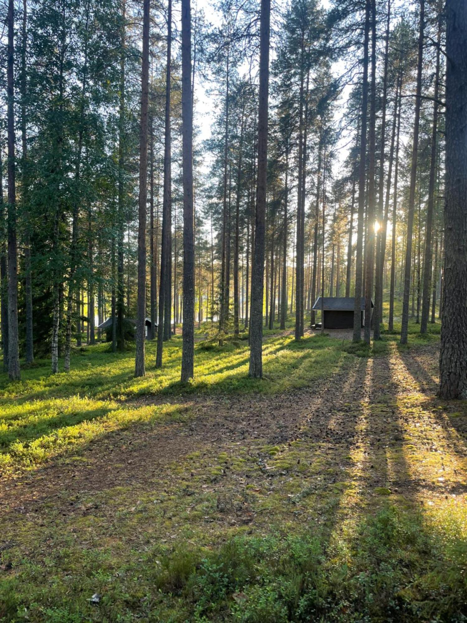 Laahtanen Camping Ristijärvi المظهر الخارجي الصورة