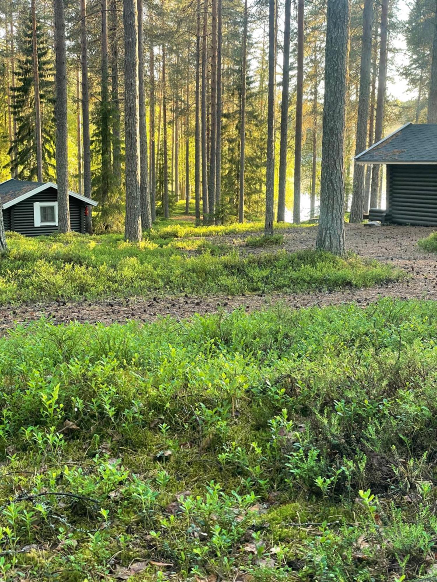 Laahtanen Camping Ristijärvi المظهر الخارجي الصورة