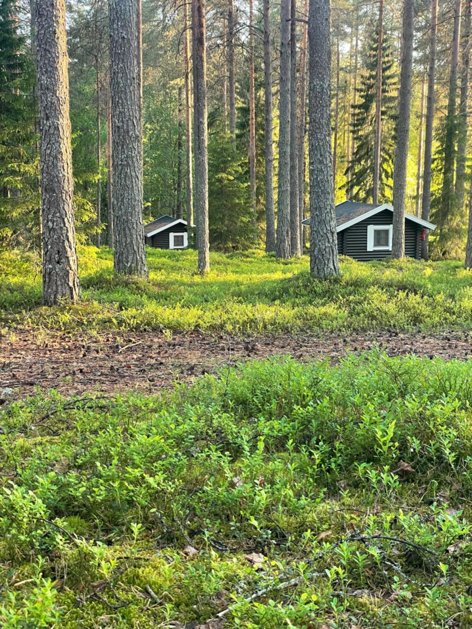 Laahtanen Camping Ristijärvi المظهر الخارجي الصورة
