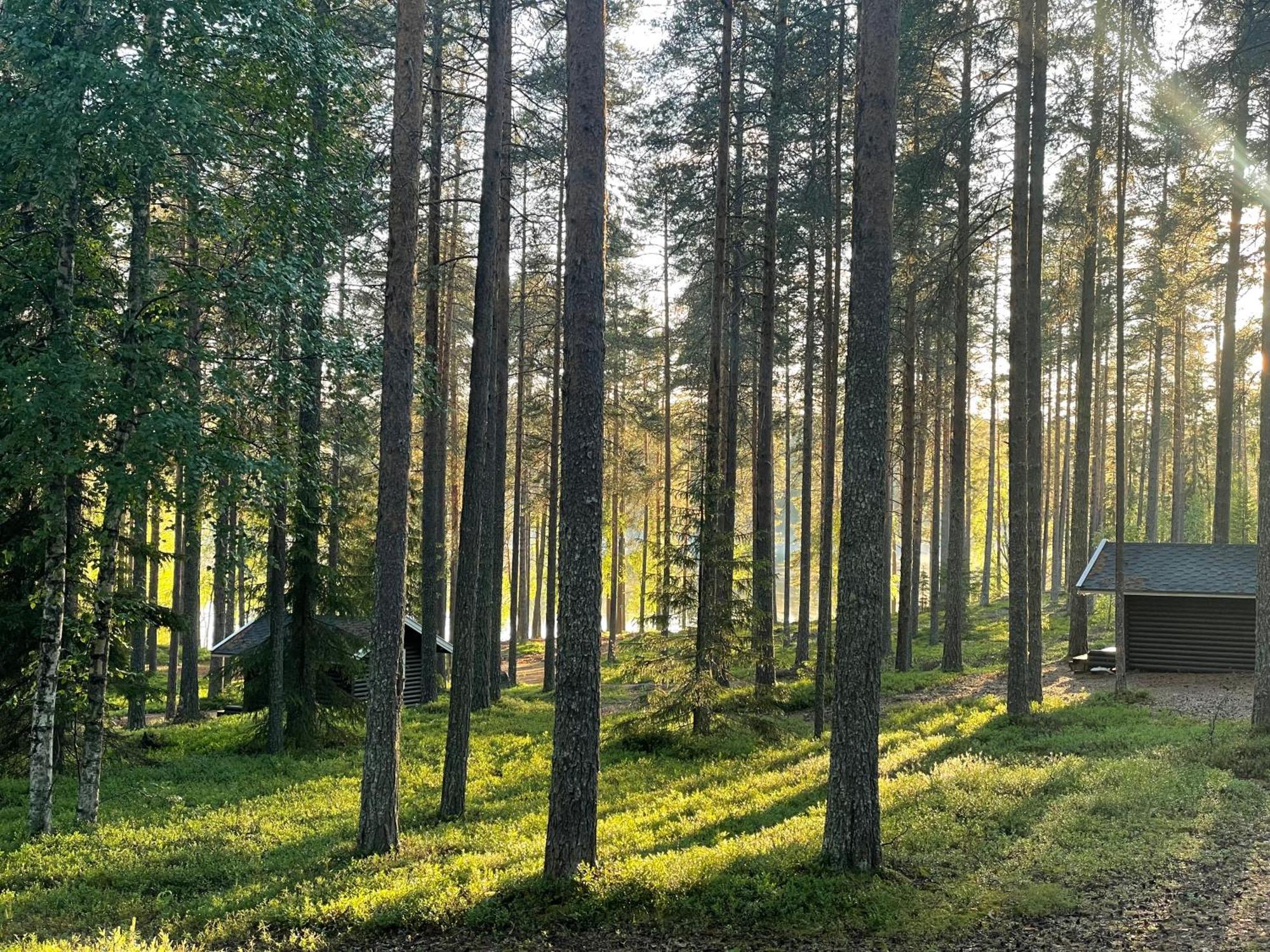 Laahtanen Camping Ristijärvi المظهر الخارجي الصورة