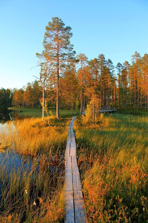 Laahtanen Camping Ristijärvi المظهر الخارجي الصورة
